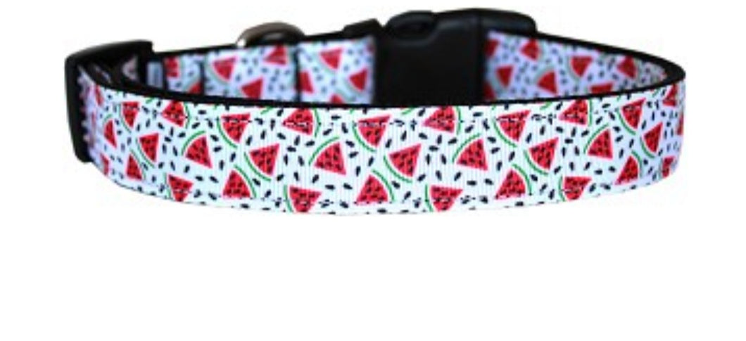 Watermelon Nylon Collar