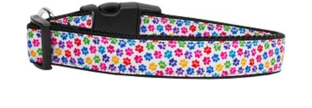 Confetti Paws Nylon Collar